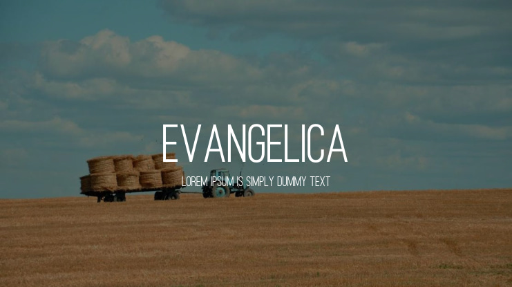 Evangelica Font Family