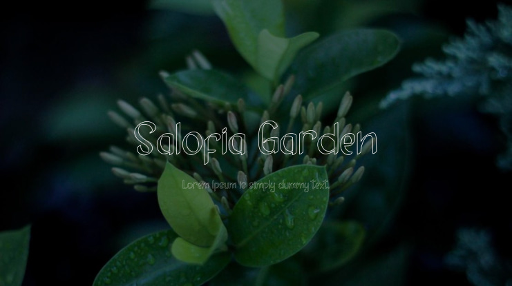 Salofia Garden Font