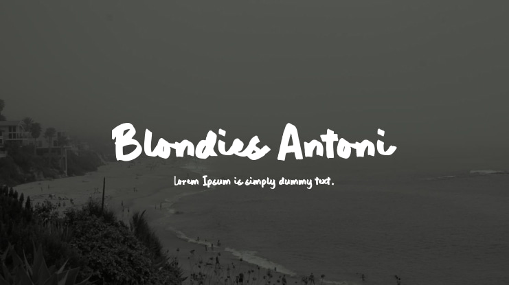 Blondies Antoni Font