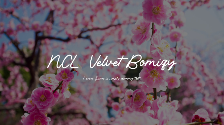 NCL Velvet Bomiqy Font