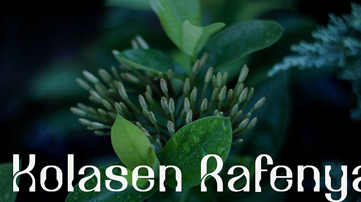 Kolasen Rafenya Font