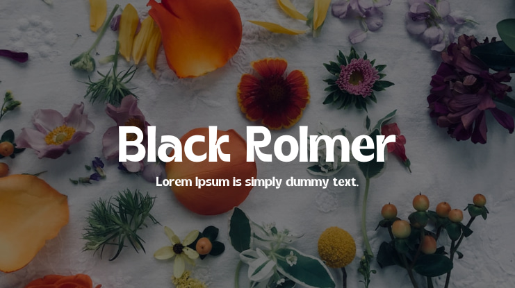 Black Rolmer Font Family