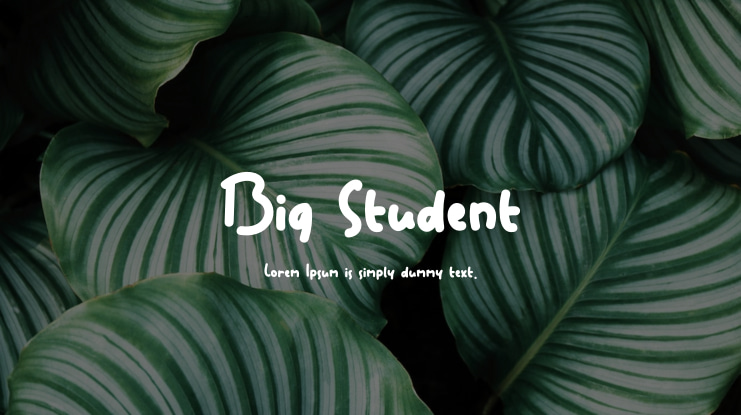 Big Student Font