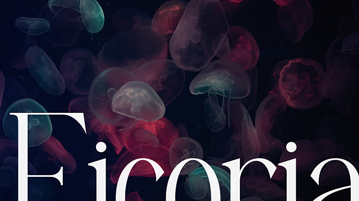 Ficoria Font
