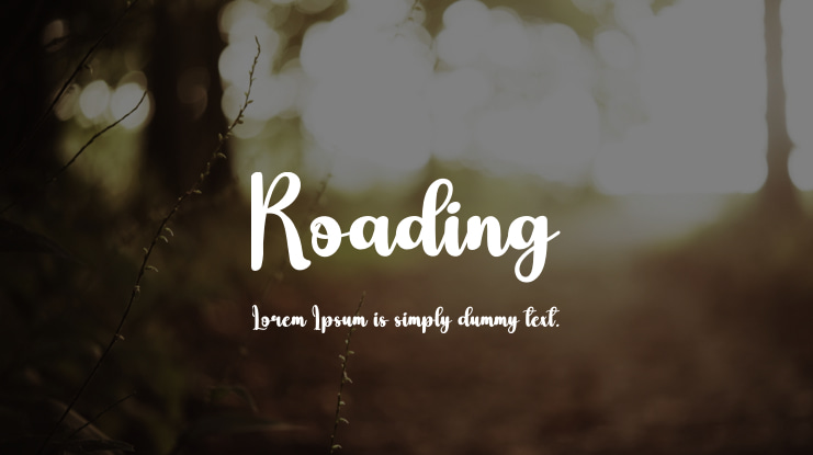 Roading Font