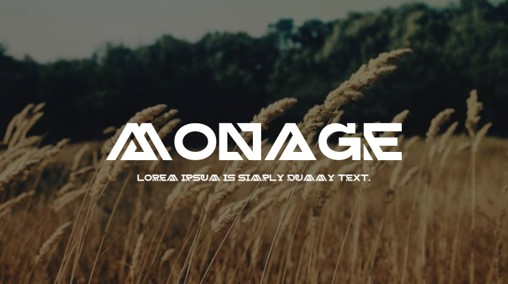 Monage Font