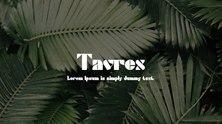 Tavrex Font Family