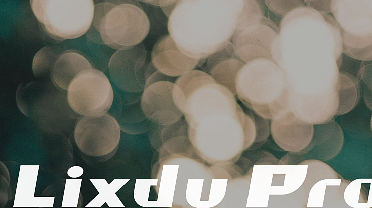 Lixdu Pro italic Font