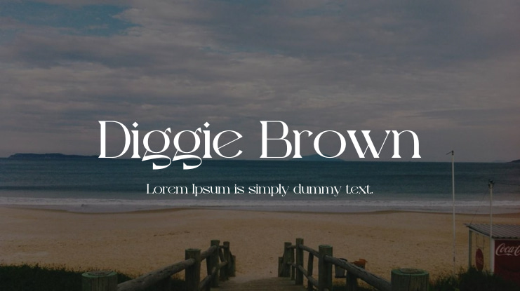Diggie Brown Font