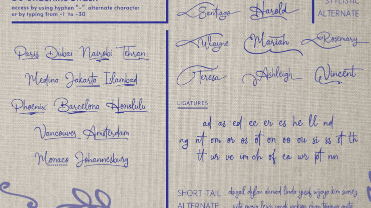 Whimsical Rosefree Font