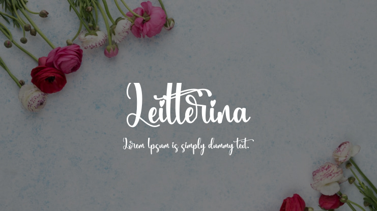 Leitterina Font