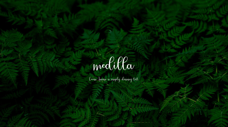 medilla Font