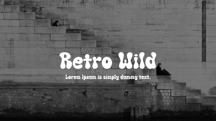 Retro Wild Font