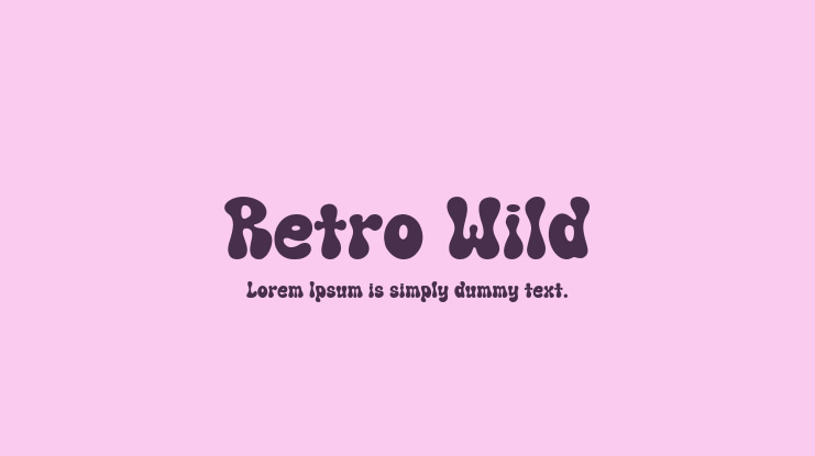 Retro Wild Font