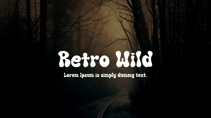 Retro Wild Font