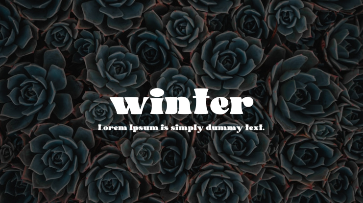 winter Font