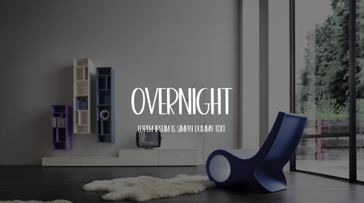 Overnight Font