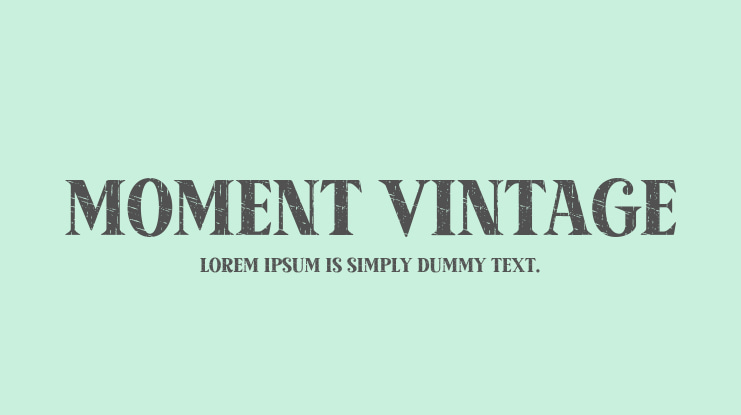 Moment Vintage Font Family