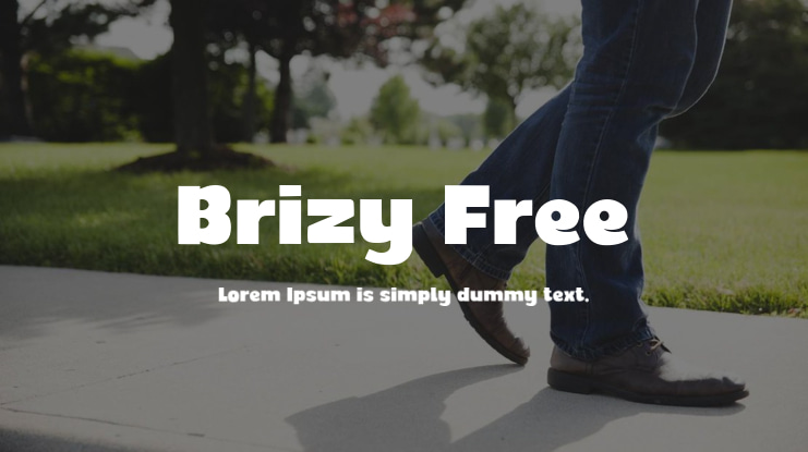 Brizy Free Font