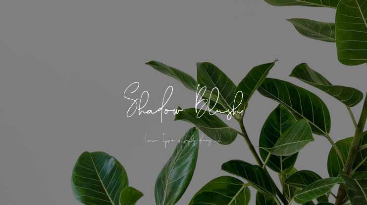 Shadow Blush Font