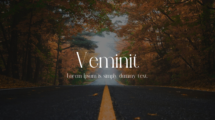 Veminit Font