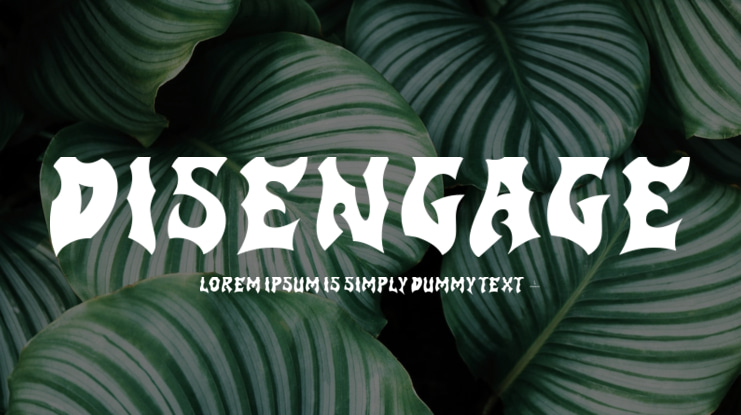 Disengage Font