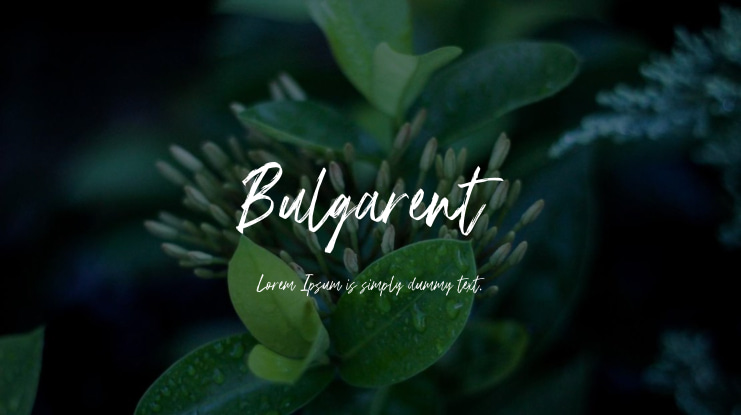 Bulgarent Font