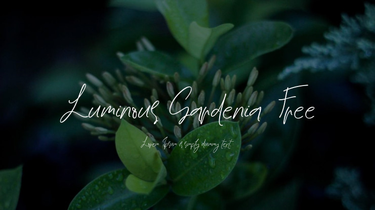 Luminous Gardenia Free Font