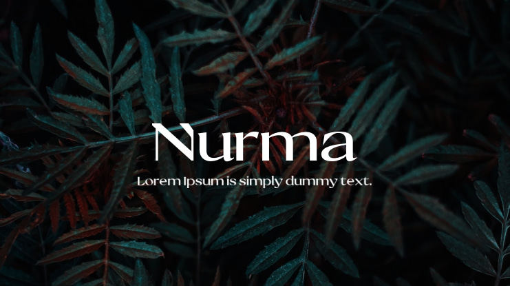 Nurma Font