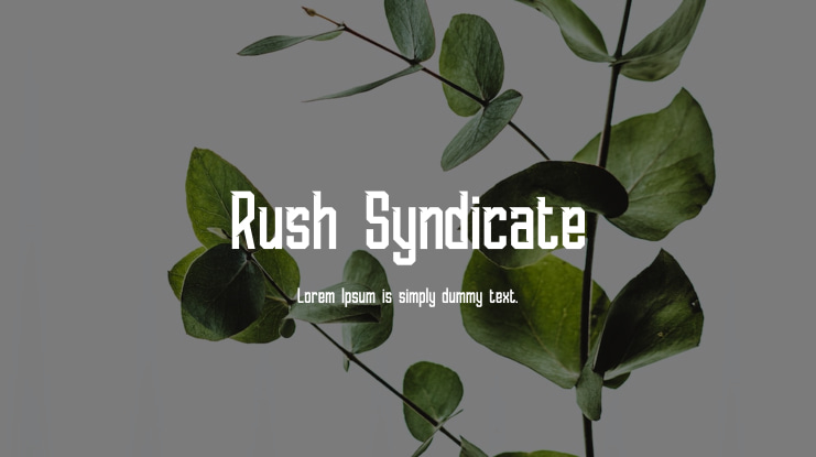 Rush Syndicate Font Family
