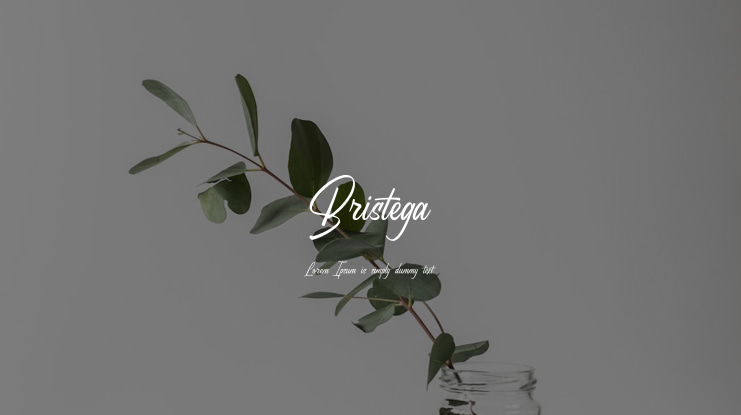 Bristega Font