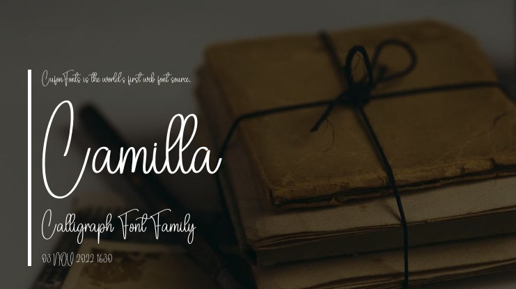 Camilla Calligraph Font