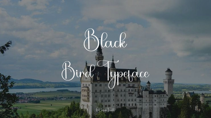 Black Bird Font