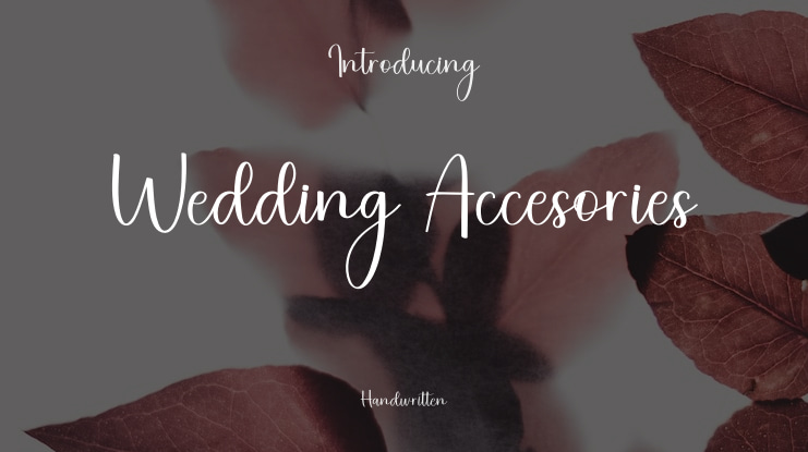 Wedding Accesories Font