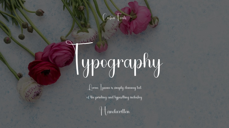 Typography Font