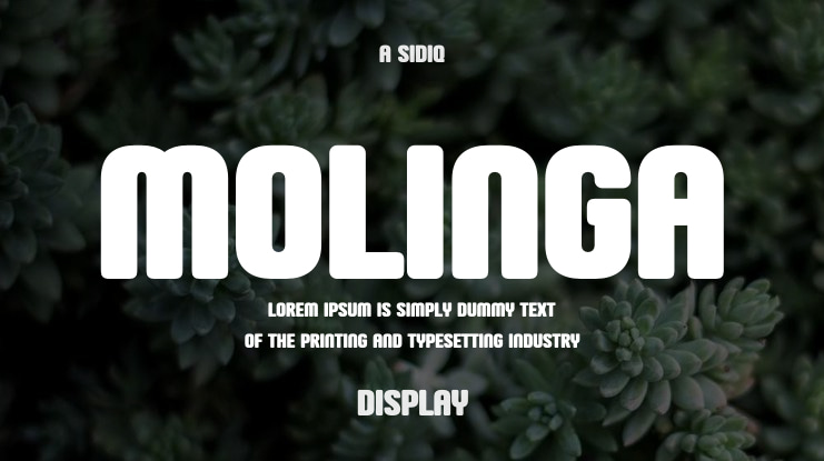 Molinga Font