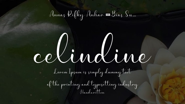 celindine Font