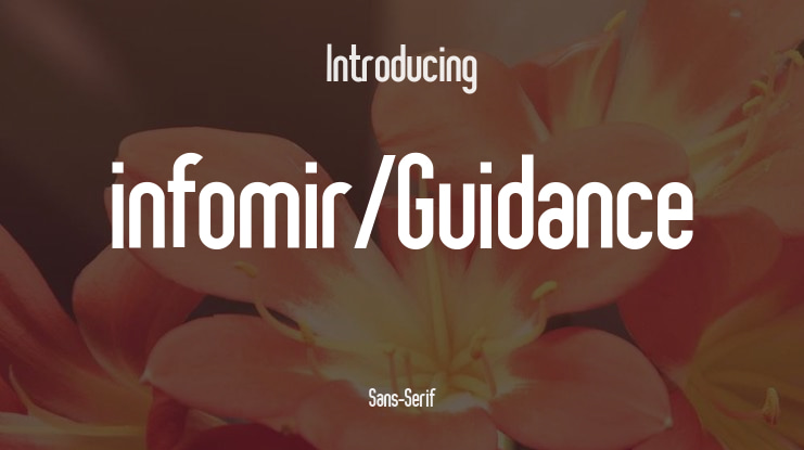 infomir/Guidance Font