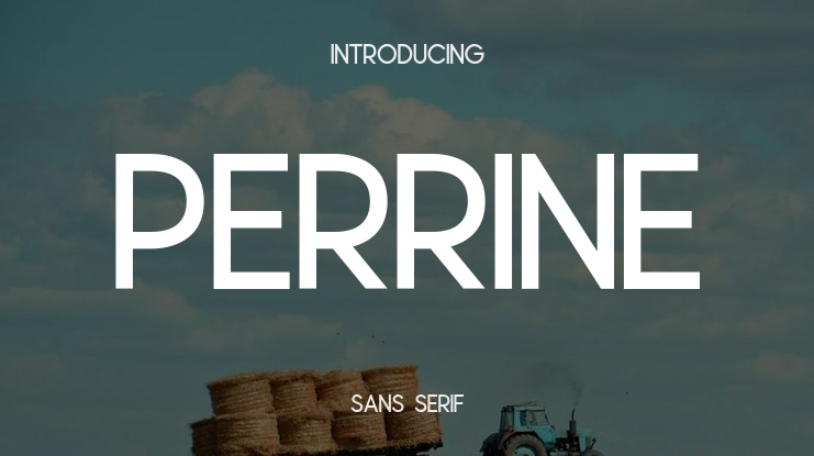 Perrine Font