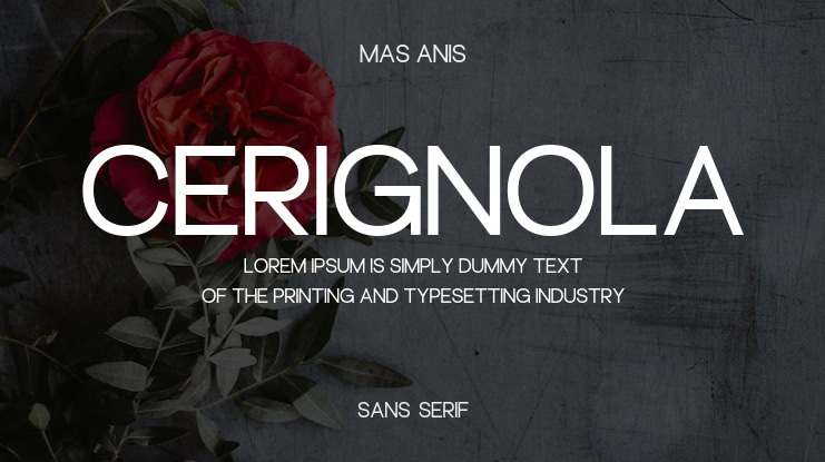 Cerignola Font
