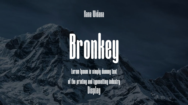 Bronkey Font Family