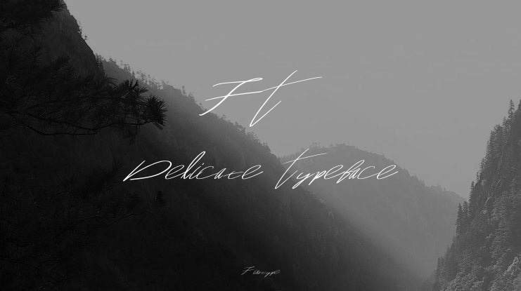 FT Delicate Font