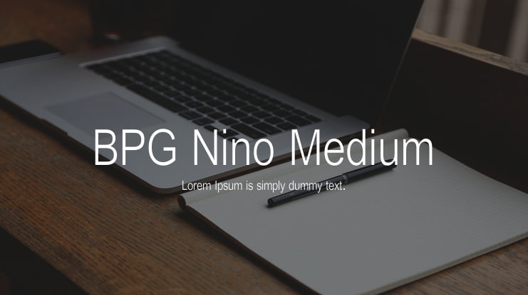 BPG Nino Medium Font