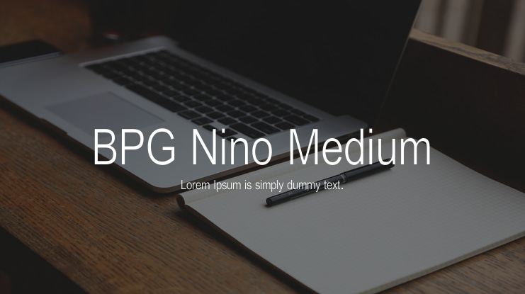 BPG Nino Medium Font