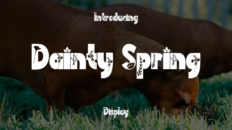 Dainty Spring Font