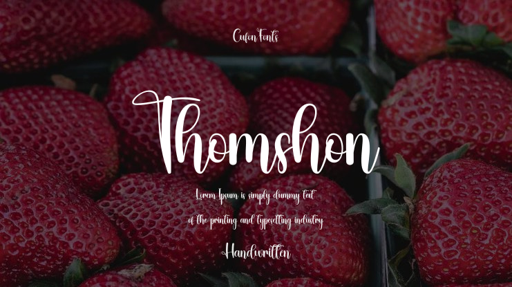 Thomshon Font