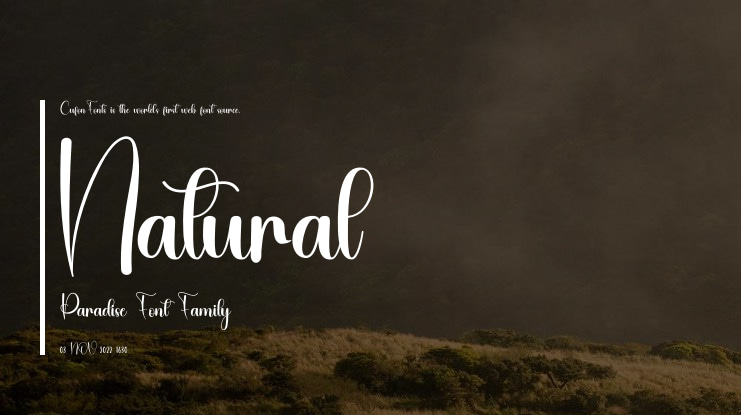Natural Paradise Font