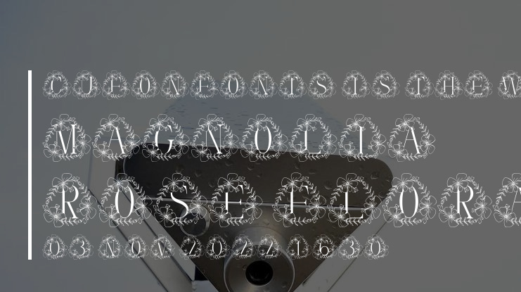 Magnolia Rose Floral Monogram Font