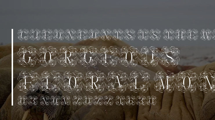 Gorgeous Floral Monogram Font