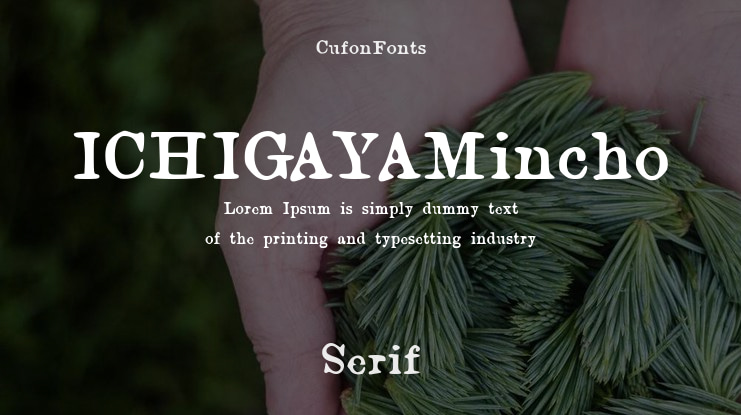 ICHIGAYAMincho Font